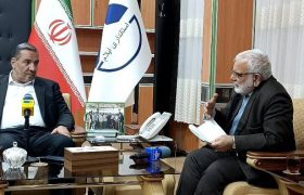 ۶<strong> هزار و ۵۰۰ نفر در ایلام با حمایت های کمیته امداد شاغل شدند</strong>