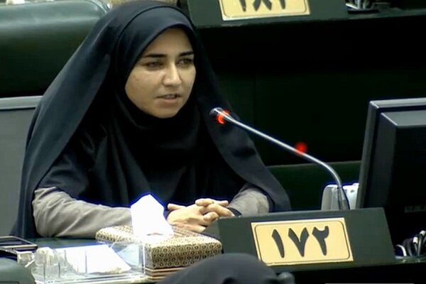فلاحی: برخی سفرای ایران پادوهای خانوادگی سیاسیون شده‌اند