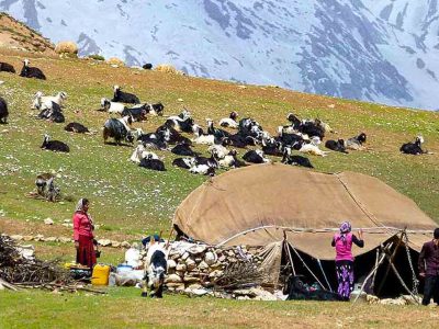 عشایر ایلام؛ نگهبانان زاگرس و پیونددهندگان سنت با زندگی مدرن شهری