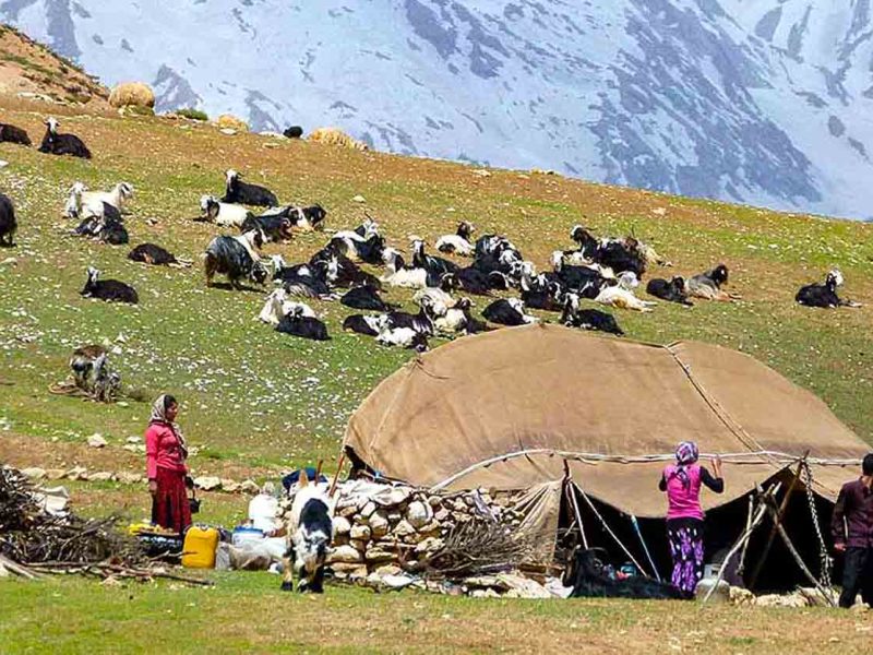 عشایر ایلام؛ نگهبانان زاگرس و پیونددهندگان سنت با زندگی مدرن شهری