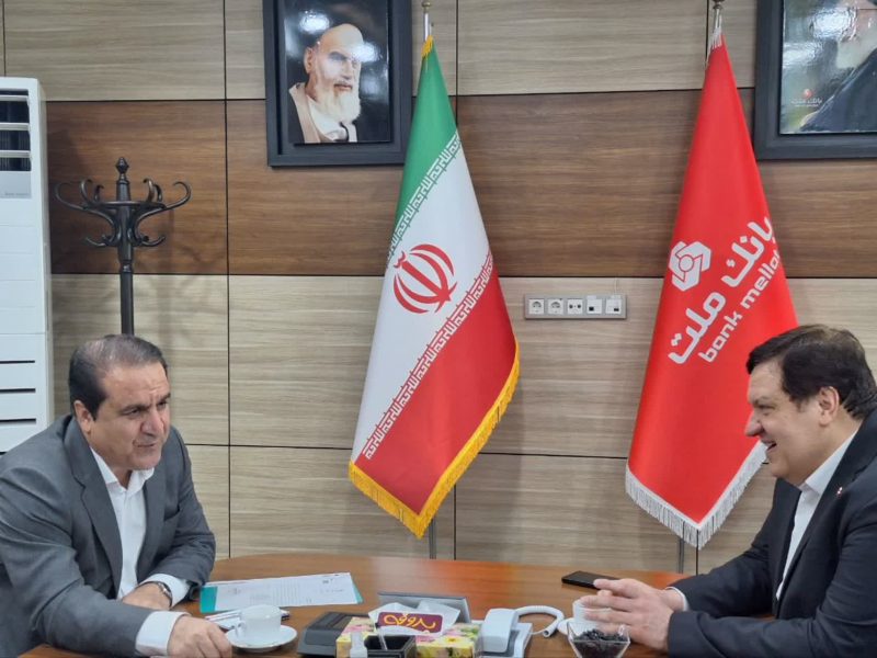 استاندار ایلام خواستار اختصاص تسهیلات برای تکمیل پتروشیمی هلیلان شد