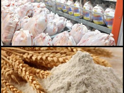 فعالیت مستمر کشتارگاه صنعتی سپید مرغ مانشت (رستاک) و کارخانه آرد ایوان